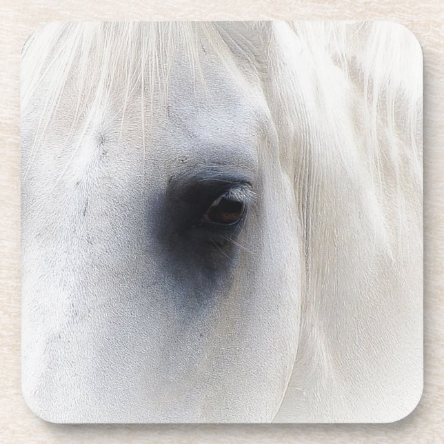 Horse & Floral Coaster (Front)