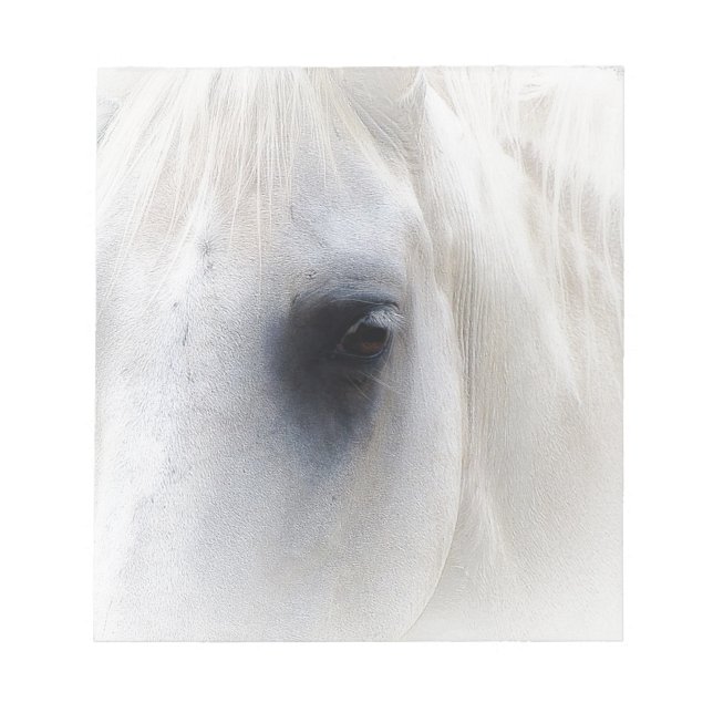 Horse & Floral Notepad (Front)