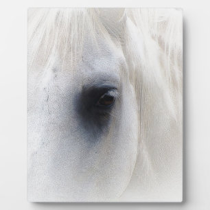 Horse & Floral Plaque