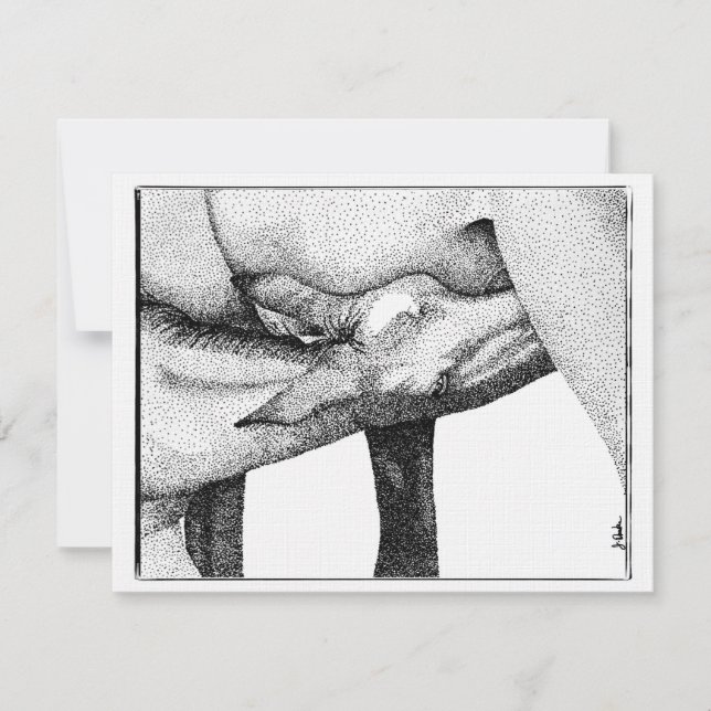 Horse Foal Baby Shower Invitation (Front)