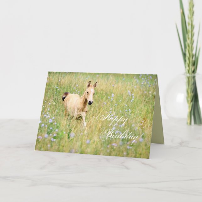 Horse Foal Birthday Card (Front)