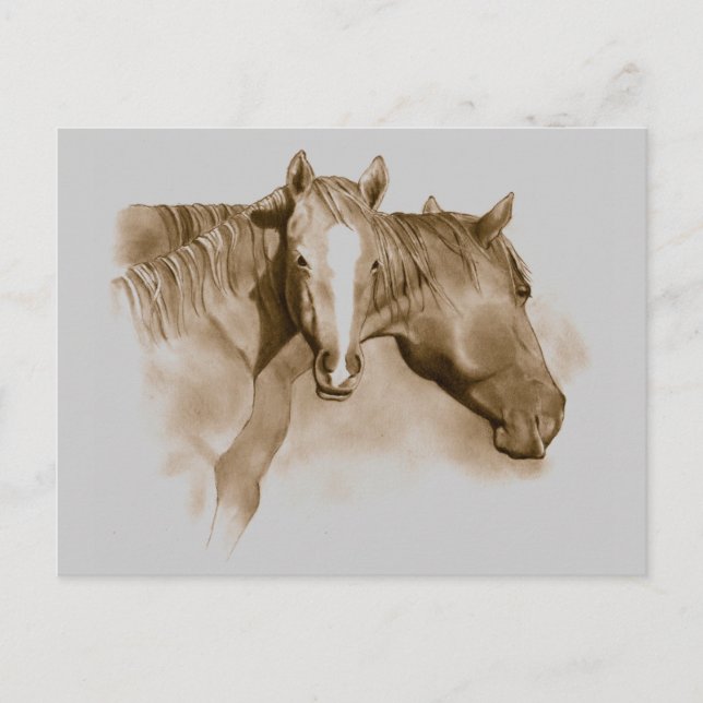 HORSE, FOAL: SEPIA: PENCIL ART POSTCARD (Front)