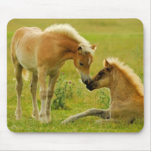 Horse Foals Mouse Mat