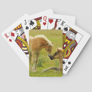 Horse Foals Playing Cards