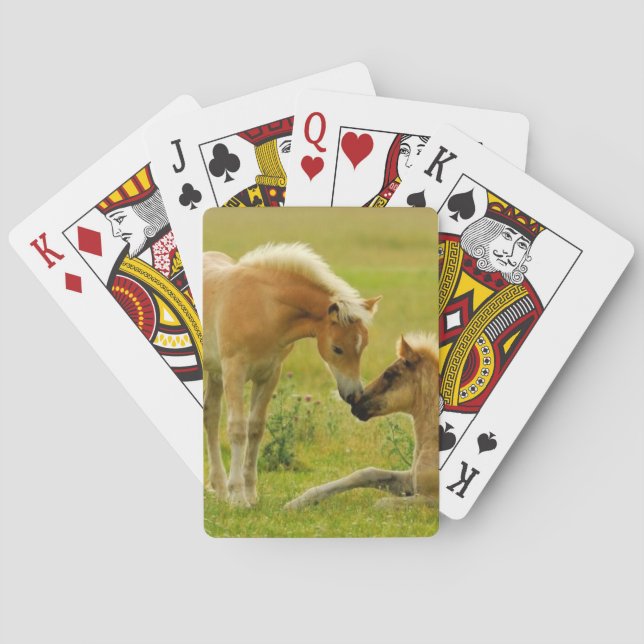 Horse Foals Playing Cards (Back)