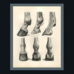 Horse Foot Hoof Veterinary Anatomy Print<br><div class="desc">Vintage anatomical illustration of the horse. The surface anatomy,  tendons and cross section of the foot and hoof.
View more anatomy illustrations under our Veterinary Anatomy Category,  and art under our Horse & Dog Prints Category. - Customize: Edit and change the border/background color as needed.</div>