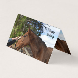 Horse Friend Forever, Birthday Card