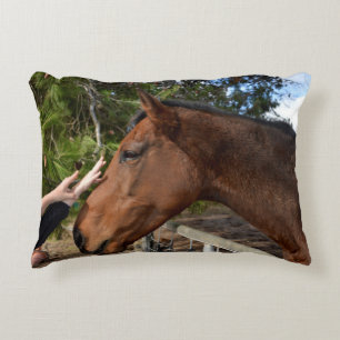 Horse Friend Forever, Decorative Cushion