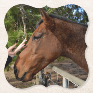 Horse Friend Forever, Paper Coaster