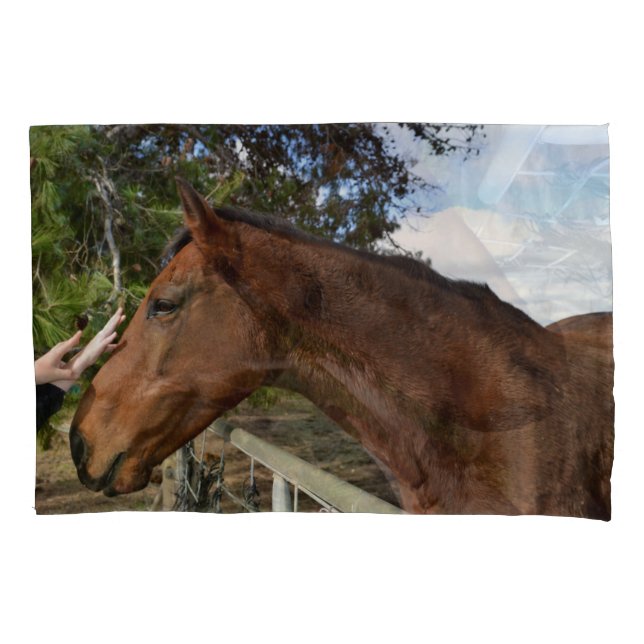 Horse Friend Forever,  Pillowcase (Front)