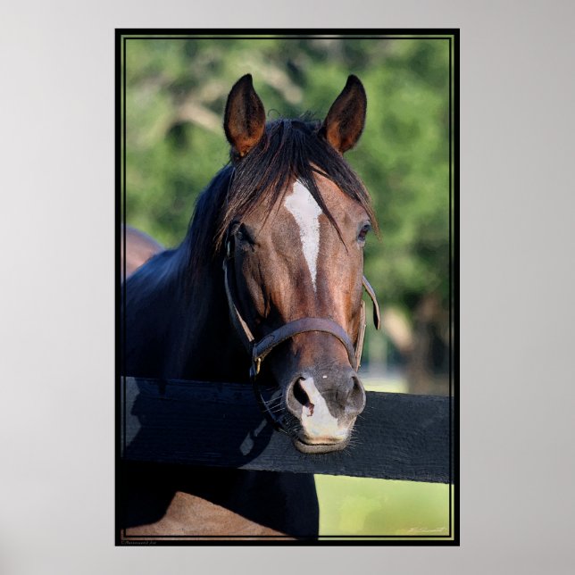 Horse Friendly Art Poster -40x60-click for smaller (Front)