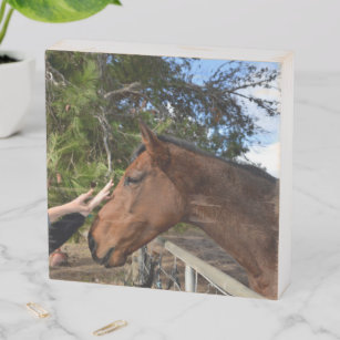 Horse Friends Forever, Wood Photo Display Wooden Box Sign