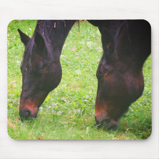 Horse Friends Grazing  Mouse Mat (Front)
