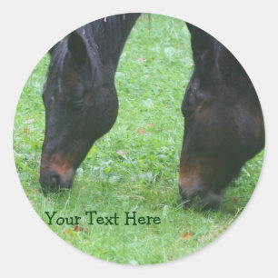 Horse Friends Grazing Together Animal Sticker