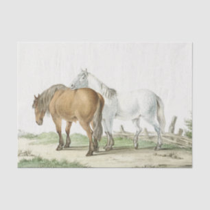 Horse Friendship Got Your Back Vintage Equestrian  Tissue Paper