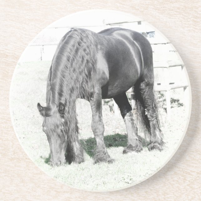Horse Friesian Stallion Animal Nature Black white Coaster (Front)