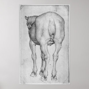 Horse, from the The Vallardi Album Poster