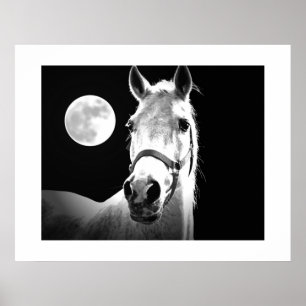 Horse & Fullmoon Poster
