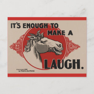 Horse Funny Post Card