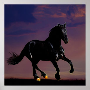 Horse galloping free poster