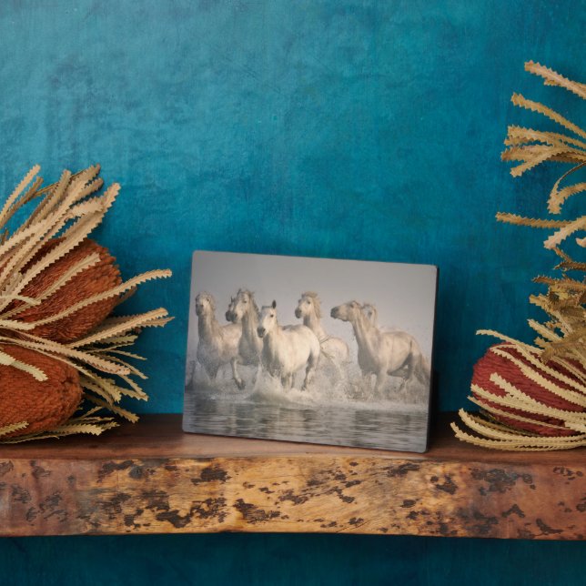 Horse Galloping in the Mediterranean Water Plaque (Side)