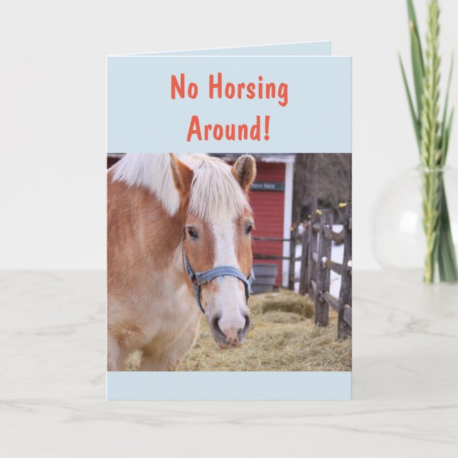 Horse Get Well Soon Card (Front)