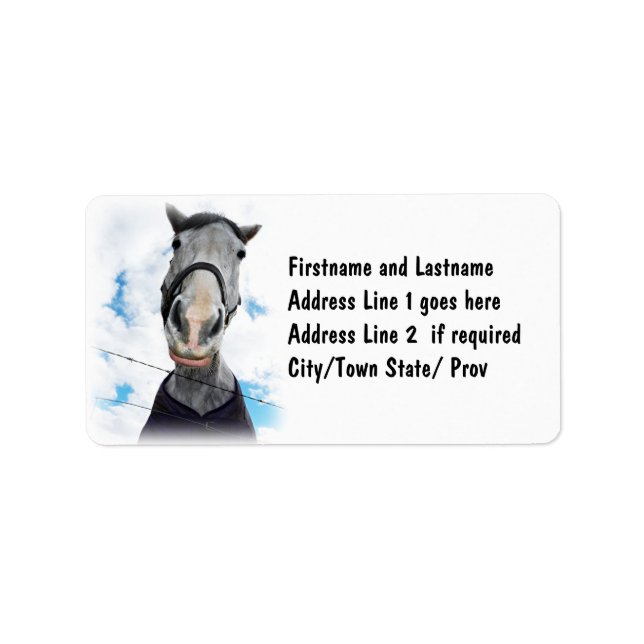 Horse Getting Lippy -  Funny Face Label (Front)