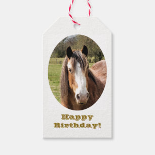 HORSE GIFT TAGS