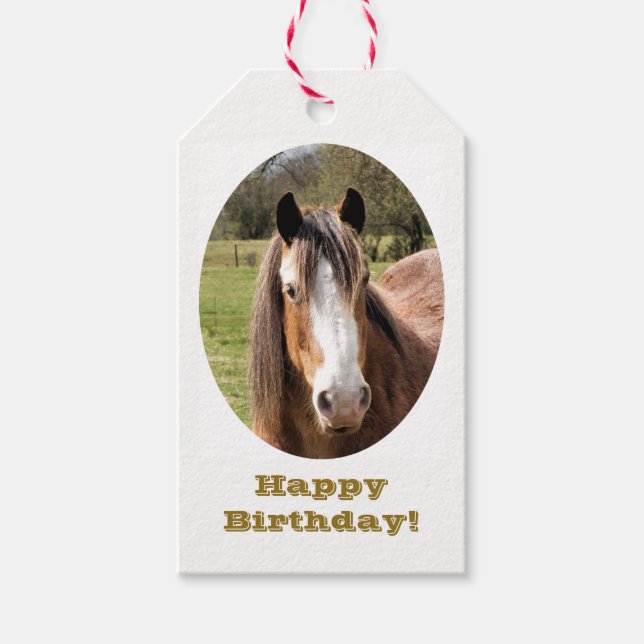 HORSE GIFT TAGS (Front)
