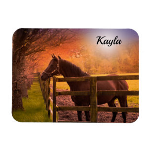 Horse Girl Magnet