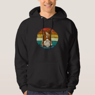 Horse  Gnome For Women Retro Sunset For Horse Dad Hoodie