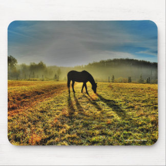 Horse Grazing at Sunrise in Misty Field Photo Mouse Mat