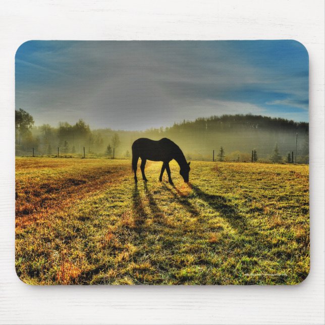 Horse Grazing at Sunrise in Misty Field Photo Mouse Mat (Front)