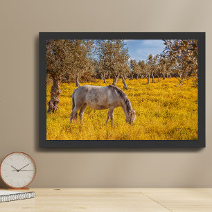 Horse grazing in a yellow flowers meadow poster