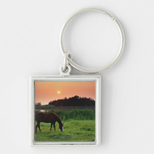 Horse Grazing in Field at Sunset Near Edmonton, Key Ring