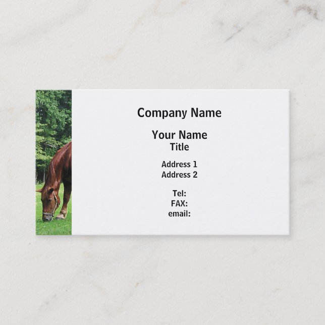 Horse Grazing in Pasture Business Card (Front)