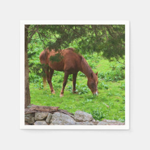 Horse Grazing In Pasture Paper Napkin