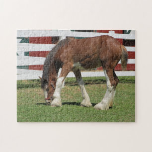 Horse Grazing Jigsaw Puzzle