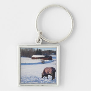 Horse grazing on a snow-covered field on Ekero 2 Key Ring