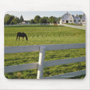 Horse grazing on farm mouse mat