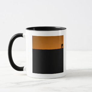 Horse grazing on Kentucky farm Mug