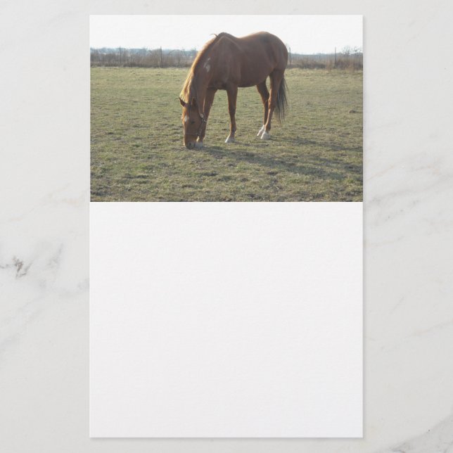 Horse Grazing Stationery (Front)