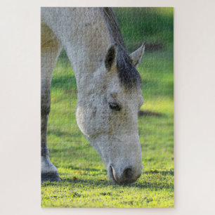 Horse grazing the field jigsaw puzzle