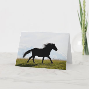 Horse Greeting Card