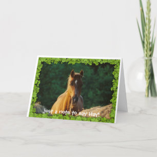 Horse greeting card