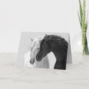 Horse Greeting Card Black & White Stallion Friends