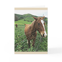 Horse Greeting Card, Blank