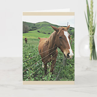Horse Greeting Card, Blank Card