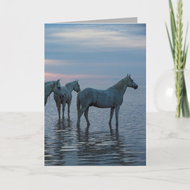 Horse Greeting Card - Camargue Horses Watching (Front)