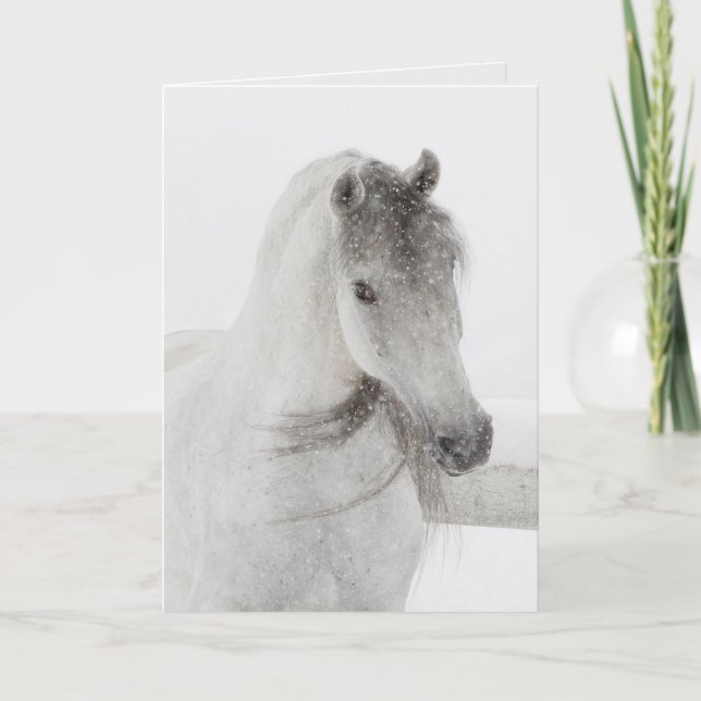 Horse Greeting Card - Mischievous Snowy Mare (Front)